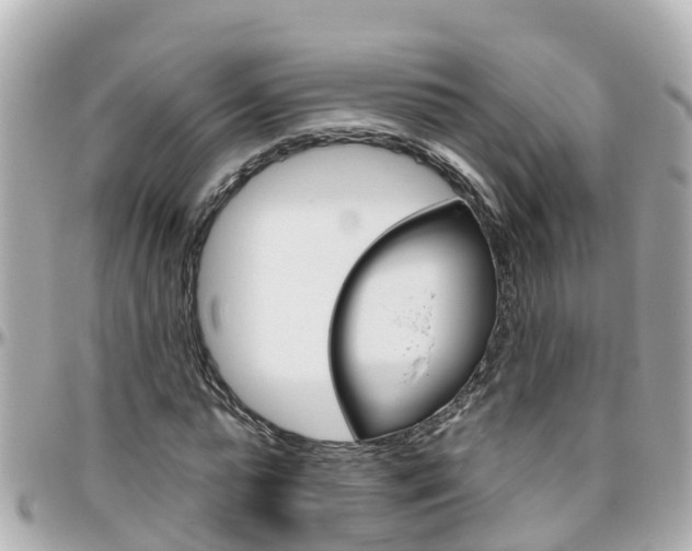 X0000096450775200801241139