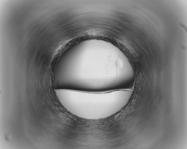 X0000096450776200801241139