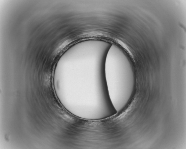 X0000096450778200801241139