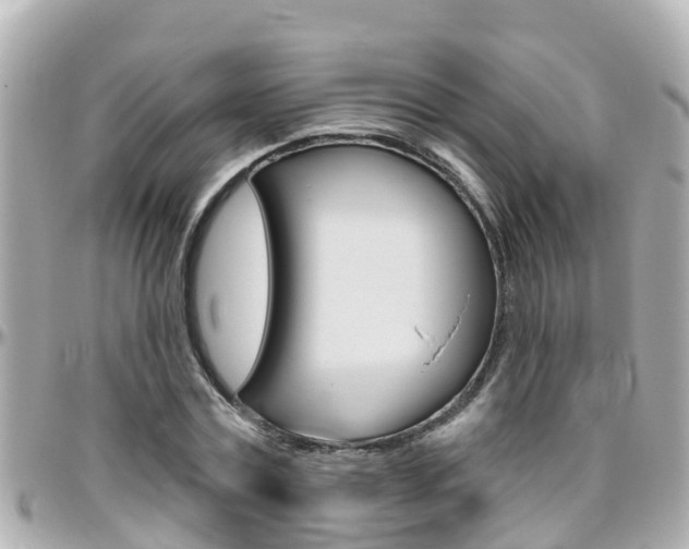 X0000096450779200801241139
