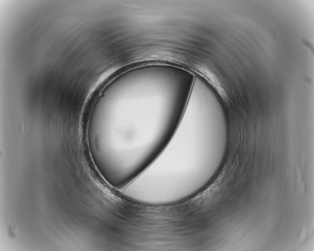 X0000096450780200801241139
