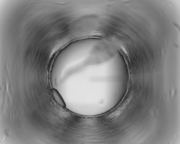 X0000096450781200801241139