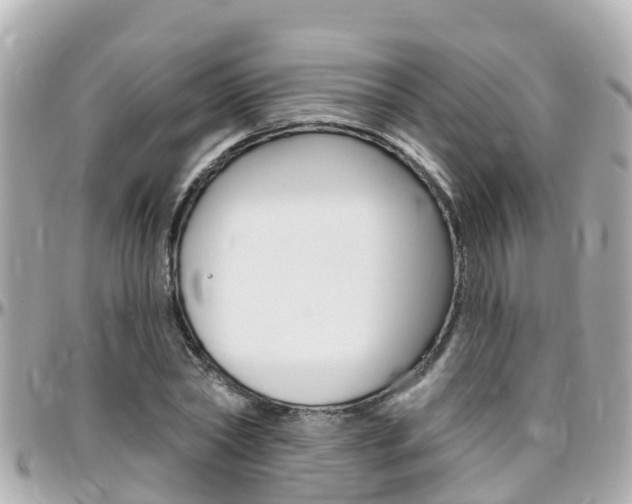X0000096450782200801241139