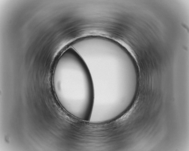 X0000096450783200801241139