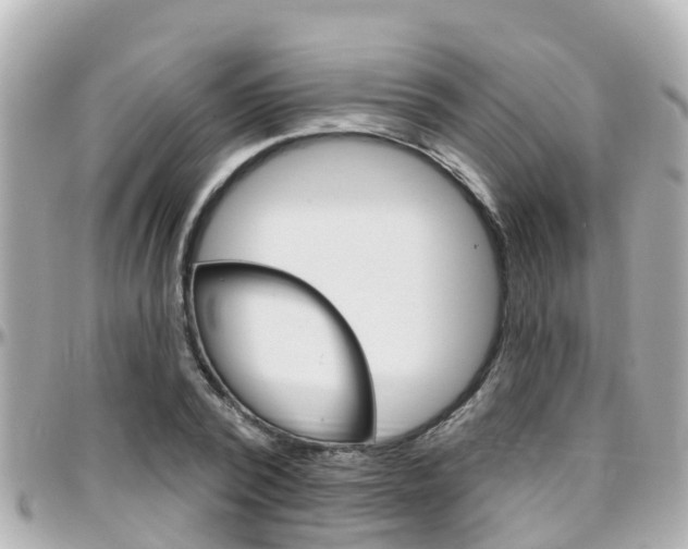 X0000096450784200801241139