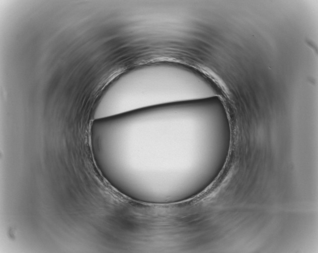 X0000096450785200801241139
