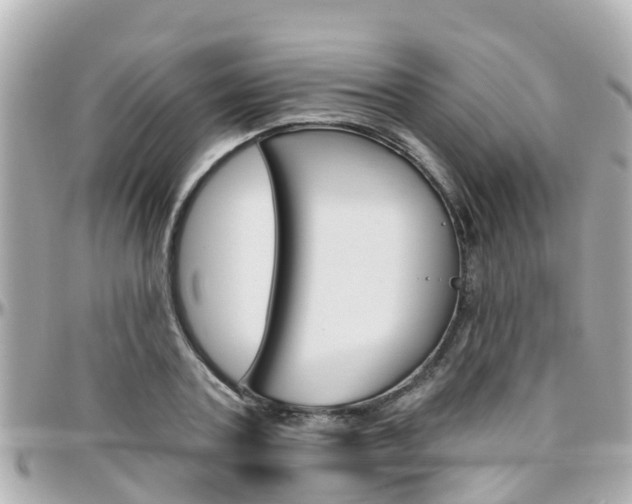 X0000096450787200801241139