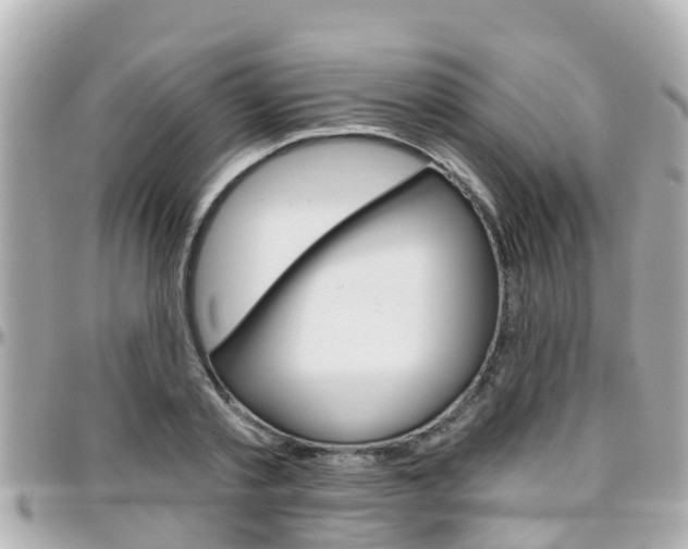 X0000096450789200801241139