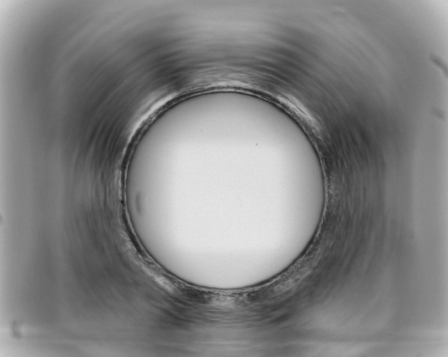 X0000096450790200801241139