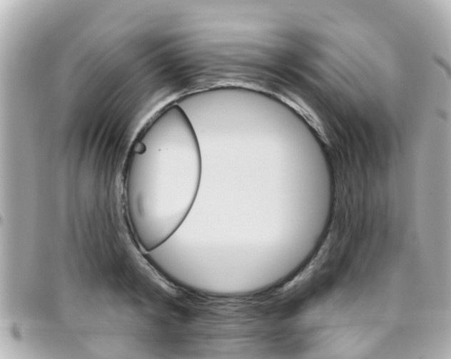 X0000096450798200801241139