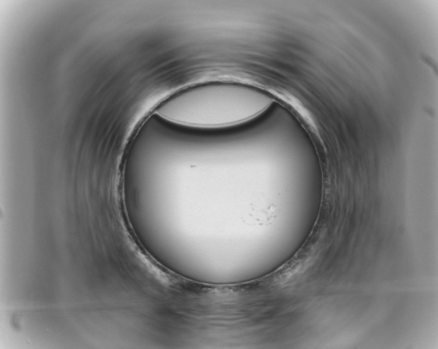 X0000096450799200801241139