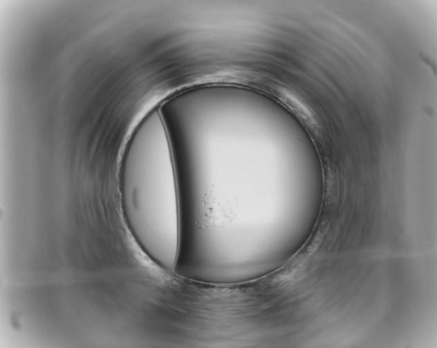 X0000096450800200801241139