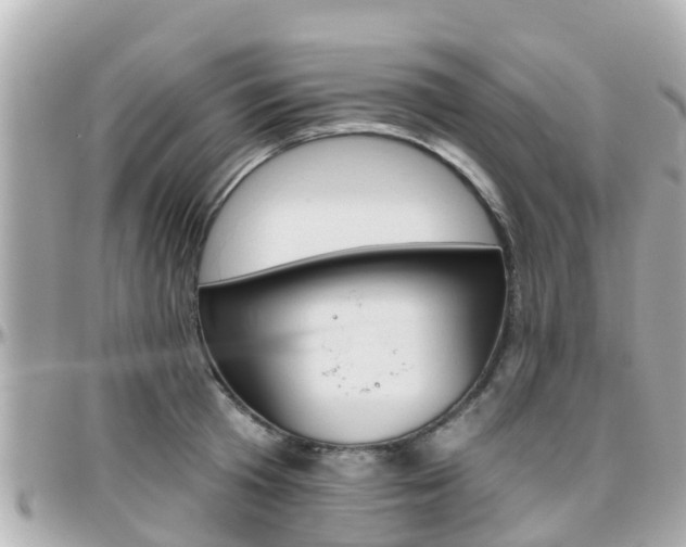 X0000096450801200801241139