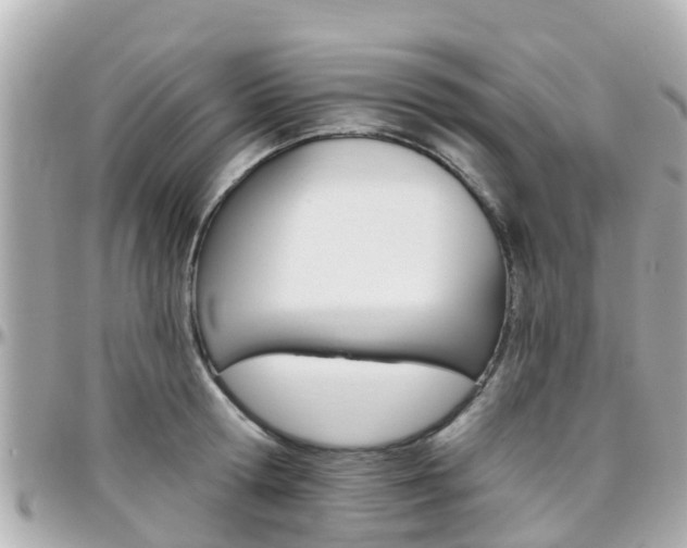 X0000096450802200801241139
