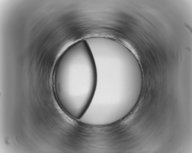X0000096450803200801241139