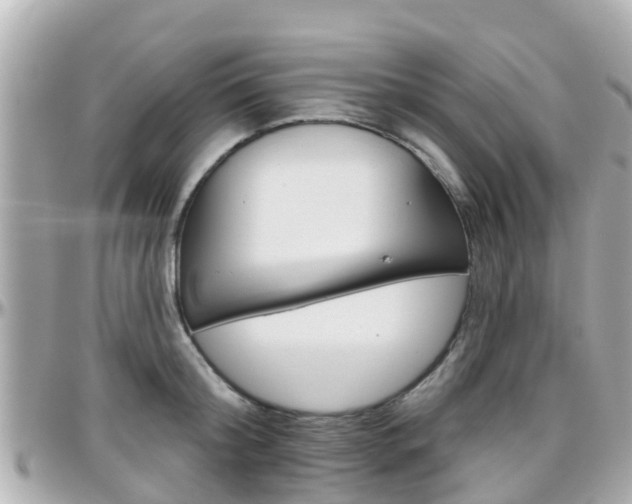 X0000096450804200801241139