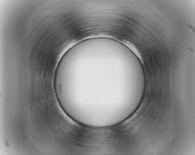 X0000096450805200801241139