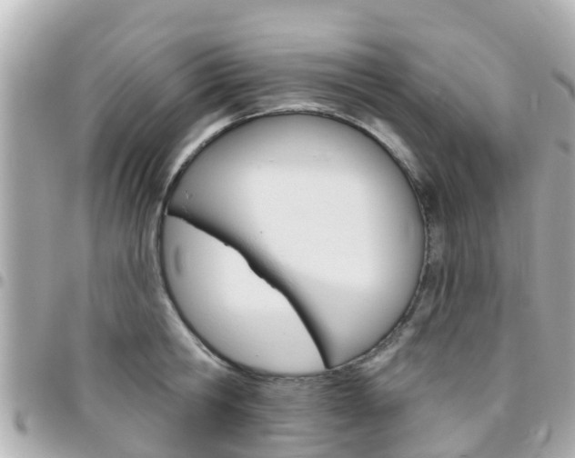 X0000096450806200801241139