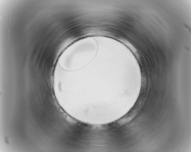 X0000096450807200801241139