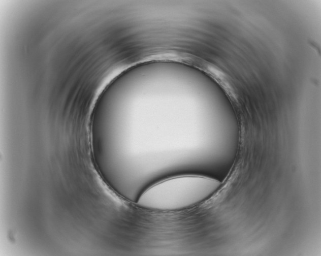 X0000096450808200801241139