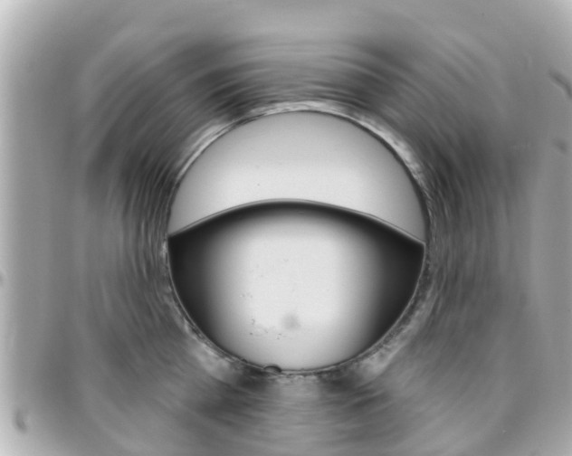 X0000096450809200801241139
