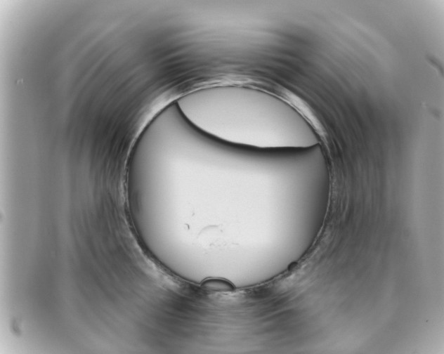 X0000096450810200801241139