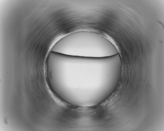 X0000096450811200801241139