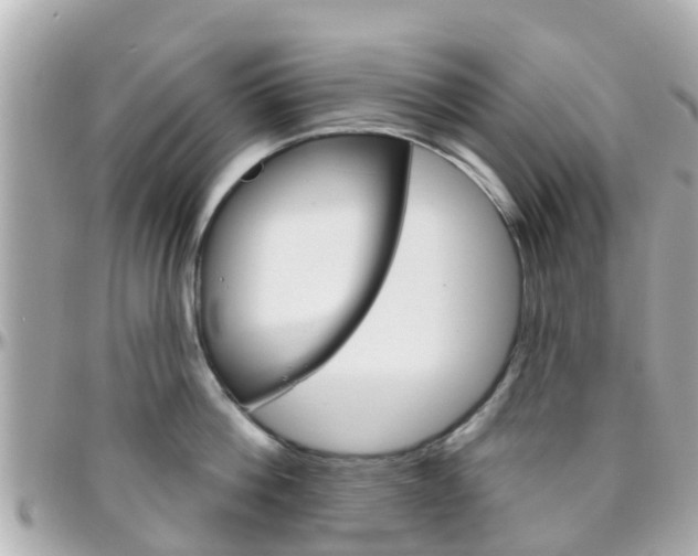 X0000096450812200801241139