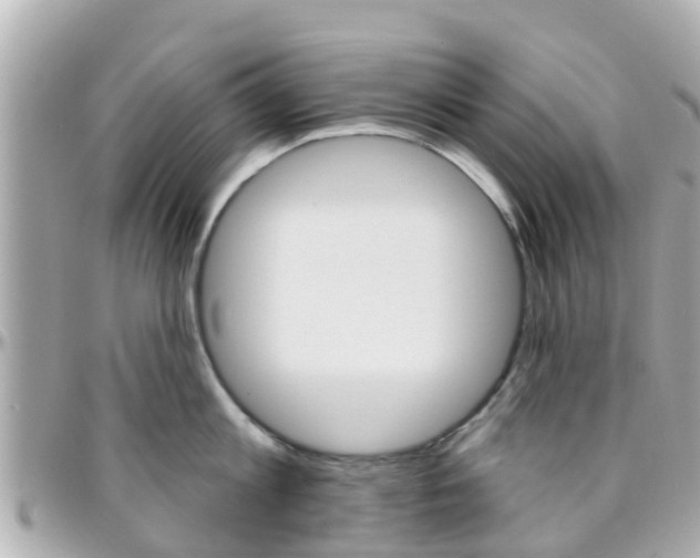 X0000096450813200801241139