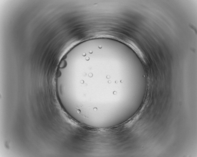 X0000096450814200801241139