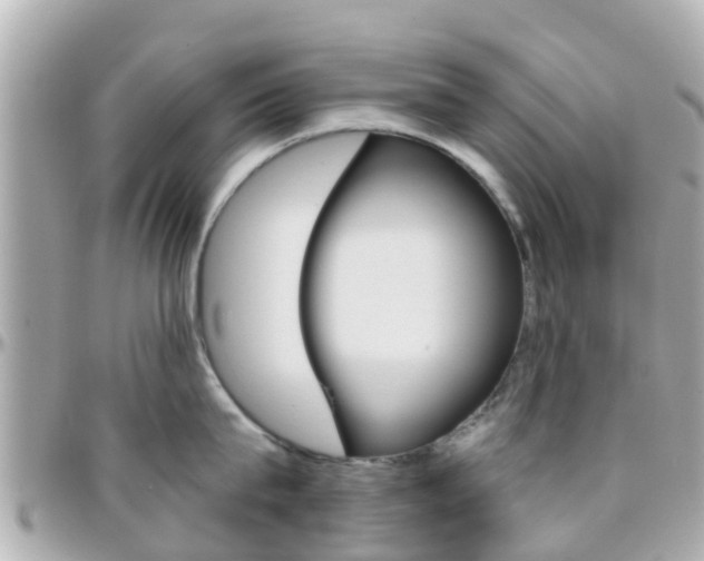 X0000096450815200801241139