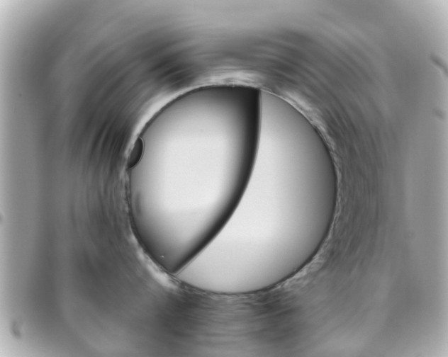 X0000096450816200801241139