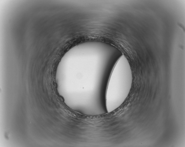 X0000096450817200801241138