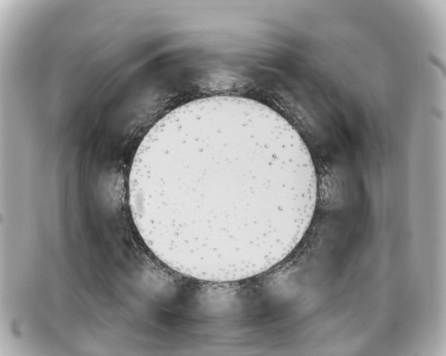 X0000096450820200801241138