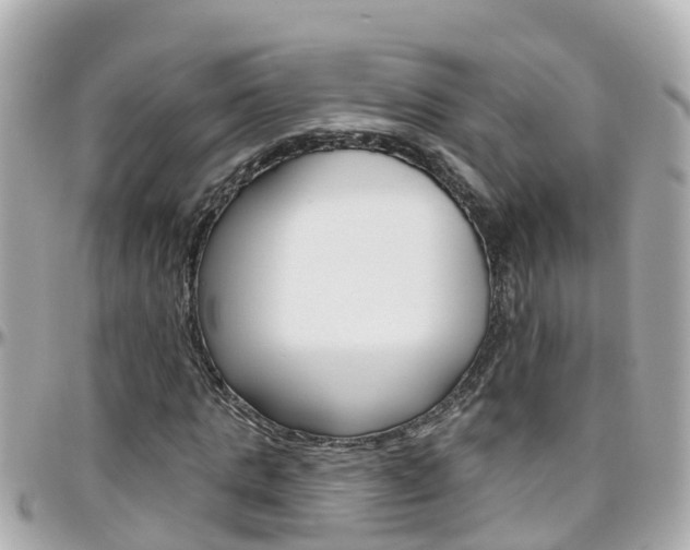 X0000096450821200801241138