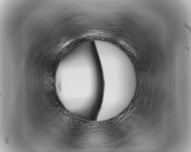 X0000096450822200801241138