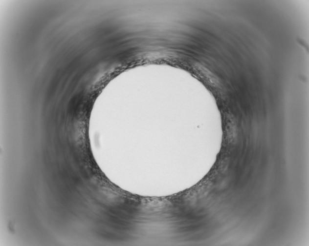 X0000096450824200801241138