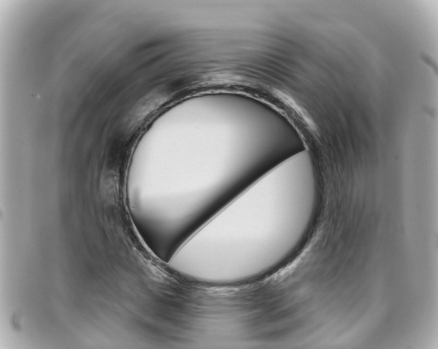 X0000096450825200801241138