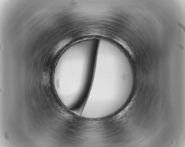 X0000096450826200801241138