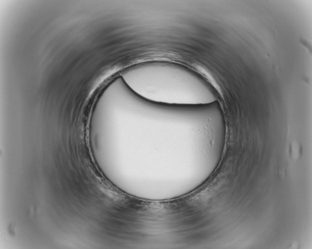 X0000096450827200801241138