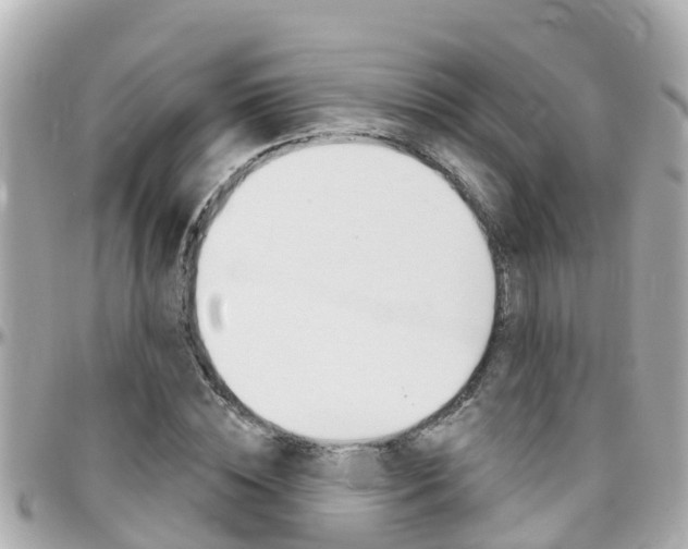 X0000096450828200801241138