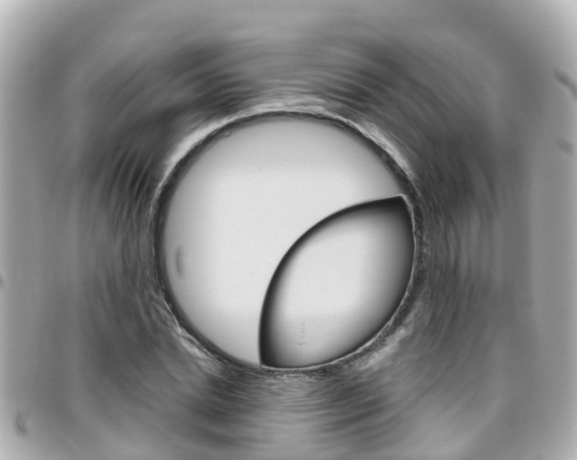 X0000096450830200801241138