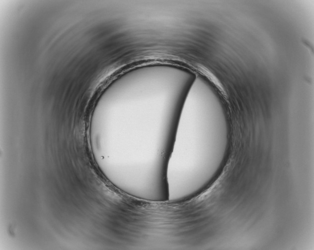 X0000096450831200801241138