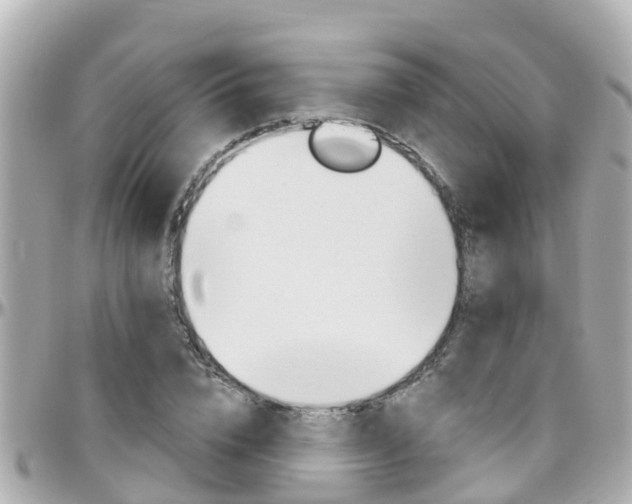 X0000096450832200801241138
