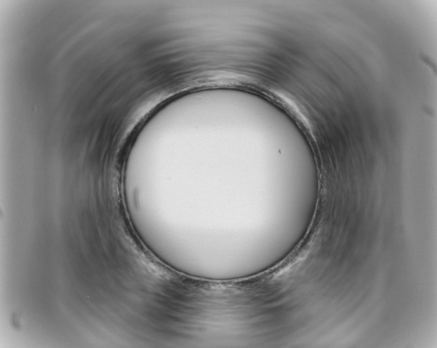 X0000096450835200801241138