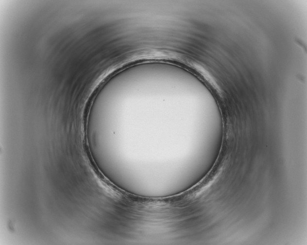 X0000096450837200801241138