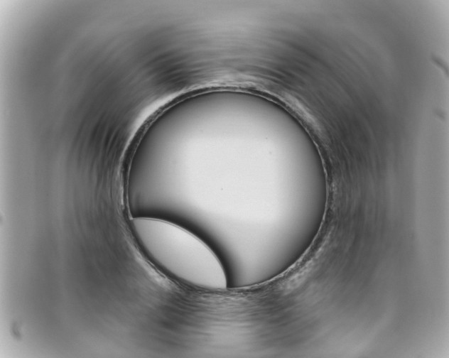 X0000096450838200801241138
