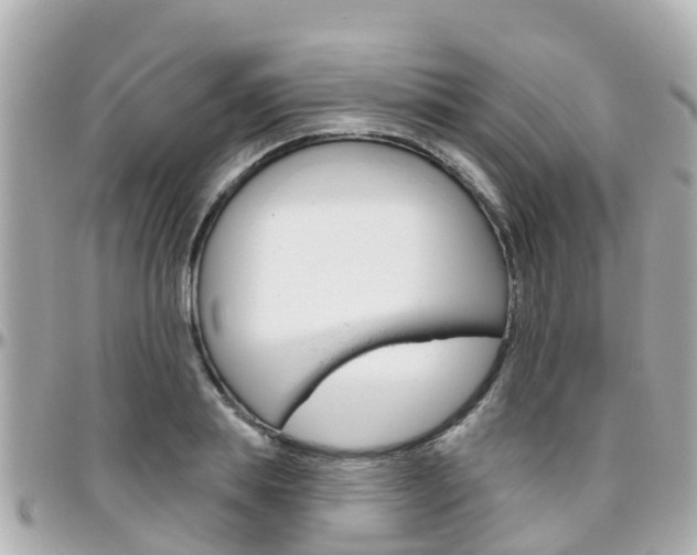 X0000096450839200801241138