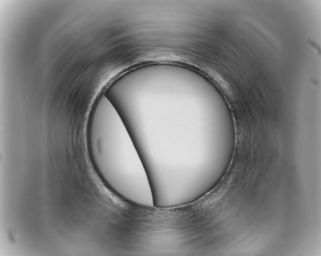 X0000096450840200801241138