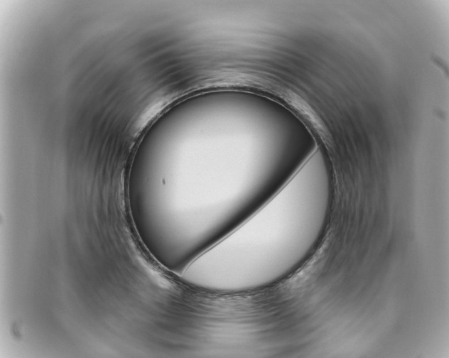 X0000096450842200801241138
